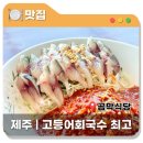 곰막다방 | 제주 동쪽맛집 내돈내산 고등어회국수 곰막식당