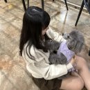 함께할개 사랑할개 | [유기견카페]함께할개 사랑할개