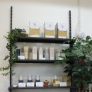 빠마앤컷 이미지