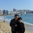 해운대 - 남구 삼산로395번길 9 | 해운대