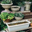 웰빙생막걸리 이미지