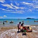 잔디휴가중 이미지