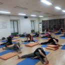 나비 한살이 이미지