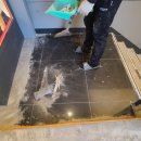 악쓰는하마 이미지