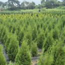 샘골농원 이미지