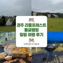 [경주 감성 숙소] 울산 매곡 15분 컷! 친구들과 힐링하고 온 '리틀포레스트 풀글램핑' 내돈내산 후기