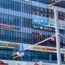 터치라인미