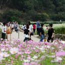 파파야농장 화장실 이미지