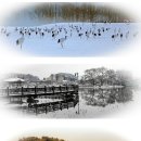 사진전시 이미지