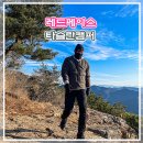 레드페이스 타슬란 캠퍼 겨울 패딩자켓 추천