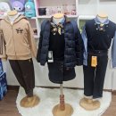 백합몬테소리어린이집 | 대구 수성구 유치원 입학설명회 후기 1번째 해맑음몬테소리 ,아일랜드 유치원