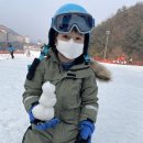 비발디여행사 이미지
