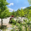 횡성 청일면사무소 이미지