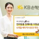 주식회사 펫라이프 이미지