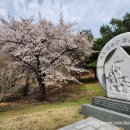 2024-03-0065 - 부여군 | 2024-03-0065