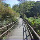 안골길 9 이미지