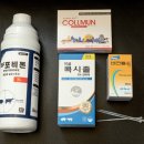 철규농장 농민신문
