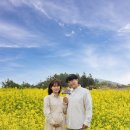 오렌지팝