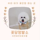 꽃담 멍발소 네이버블로그