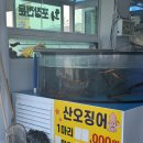 동해시-60 | [동해] 묵호항 활어판매센터 회센터 추천 오징어/광어/우럭 회 포장 후기