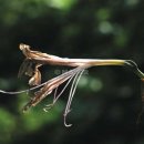 성장농원 이미지