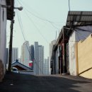 독쟁이3 이미지