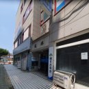 선학모밀 이미지