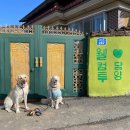 김부자댁 둘째딸 이미지