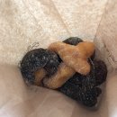 아이야꽈배기 네이버블로그
