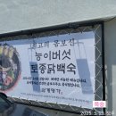 부산참앤참