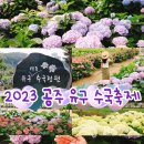 수국수국 이미지