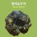 릴리슈쿠키 | 릴리슈쿠키_내 입맛대로 써보는 쿠키 후기