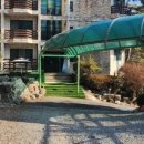 펜텔하우스 이미지