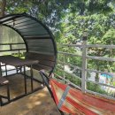 편백숲,쉼 이미지