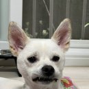 열정국밥 이미지