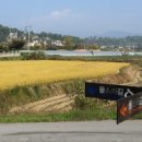 수문2농장 이미지