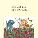 별별케이크