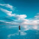 바다의향기 이미지