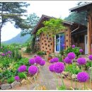 산골흙집민박 이미지