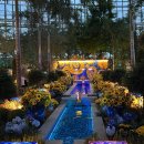 (야간)가을 밤의 플로리스트(10월) | 세종 가볼만한곳 국립세종수목원 한 여름밤의 고흐 야간개장 추석 무료개방