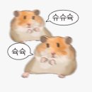 세븐돈까스김밥