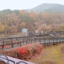 더메모리550