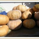 행복건강원 이미지