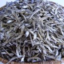 진도멸치 이미지