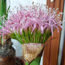 영보한의원 이미지