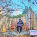 울산테마식물·수목원 이미지