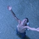 횃대둥우리 이미지