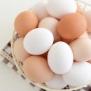 생활 속미술놀이 이미지