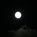 달빛마을 이미지