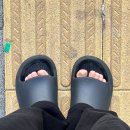 3월 봄이오는구만, 진격거를 위한 대구여행